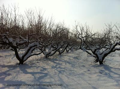 Ed ora.... Un po’ di foto con la neve!