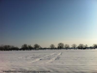 Ed ora.... Un po’ di foto con la neve!