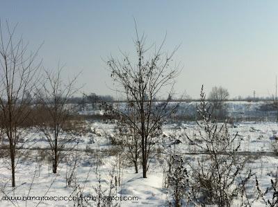 Ed ora.... Un po’ di foto con la neve!