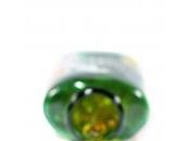 Carnitina: Effetti fisiologici