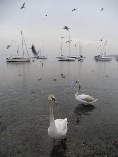 Cartoline da Arona