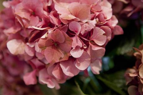 IL SUCCESSO DI UN CORSO, E NON SOLO