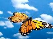 farfalla