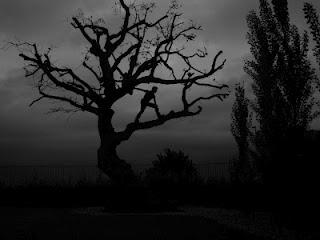 30° LUNEDI SOSTENIBILE- 13 febbario 2012