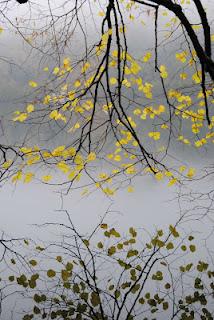 30° LUNEDI SOSTENIBILE- 13 febbario 2012