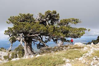 30° LUNEDI SOSTENIBILE- 13 febbario 2012