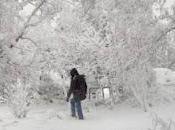 TACE.Il crepuscolo tempo orchestra,trasferisce