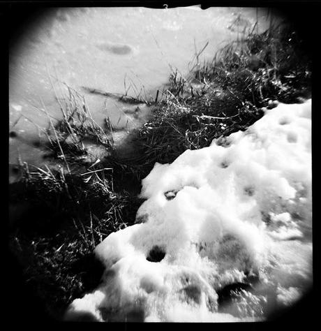 LOMOGRAPHY • neve!!!!! Diana F+ e Ilford HP5 PLUS