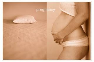 La storia di Micro - La gravidanza