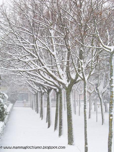 Angolo fotografico: la nevicata del 2012