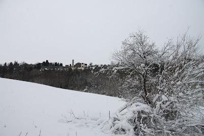 la neve caduta, e quella che ha da cadere