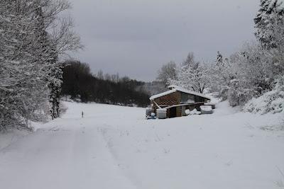 la neve caduta, e quella che ha da cadere