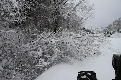 la neve caduta, e quella che ha da cadere