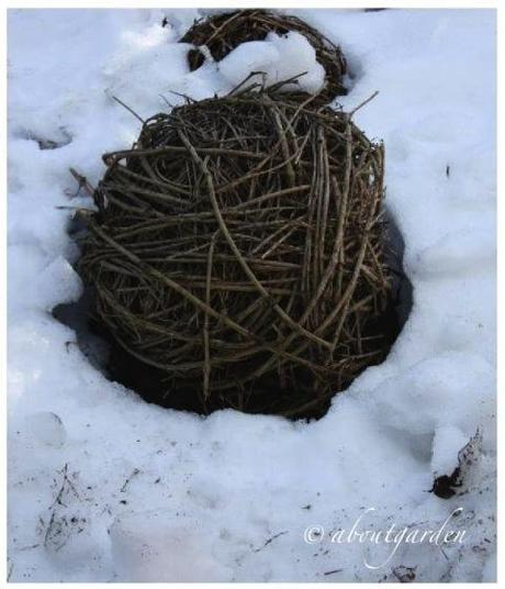 Shabby Chic on Friday: Ball and Globe in the garden