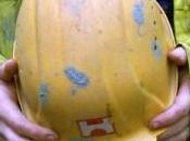 Porto Levante, Rovigo: incidente lavoro. Muore marinaio Carlo Bernacconi