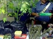 Coltivano marijuana casa Arrestati giovani cagliaritani