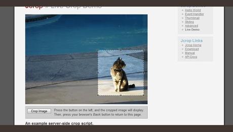 jcrop-plugin-javascript