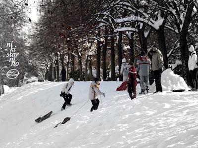 Sulla neve di Bologna!