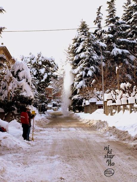 Sulla neve di Bologna!