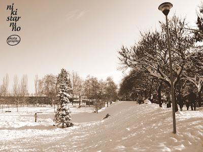 Sulla neve di Bologna!