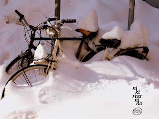 Sulla neve di Bologna!