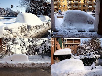 Sulla neve di Bologna!