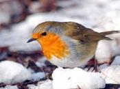 Idee Valentino, tenerezza gesto d’amore