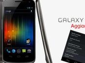 Aggiornamento Android 4.0.4 Galaxy Nexus