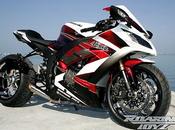 Kawasaki ZX-10R 2011 Roaring Toyz