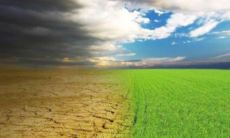 Negazionismo climatico