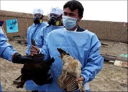 H5N1, anche Nepal e India colpite