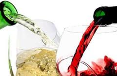 gustare i vini, conservare i vini, servire i vini, temperatura per i vini, 