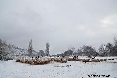 ROMA, ANCORA NEVE