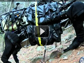 Robot combattimento! VIDEO