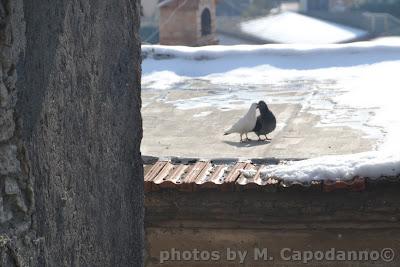 San VALENTINO 2012