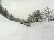 Scossa terremoto Forlì Cesena, magnitudo