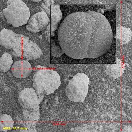 Marte visto al Microscopic Imager - parte 1