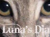 Luna's Diaries: sogno
