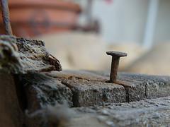 GIOVANI E LAVORO: POSTO FISSO COME CHIODO FISSO?