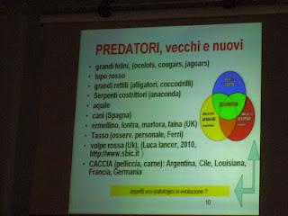 ORDINANZE SULLE NUTRIE - parte 1: LA FARSA