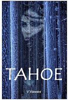 Intervista a V.Vannini