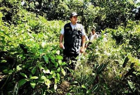 Arrestato, ferito, in Peru il leader storico di Sendero Luminoso (il gruppo ribelle maoista che ormai è solo una formazione di narcos)