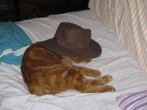 IMG_0285web Scoop esclusivo! Il vero Gatto con gli stivali pizzicato in relax…