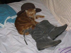 IMG_0290web Scoop esclusivo! Il vero Gatto con gli stivali pizzicato in relax…