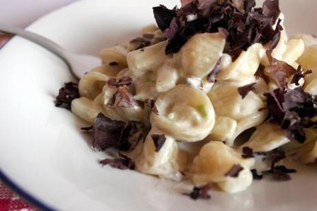 Orecchiette panna, patate, trevisana, cipollotto e dulse. E pulizie di quasi primavera.