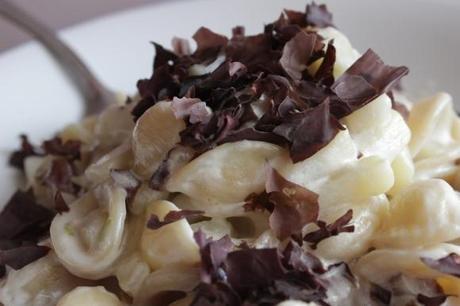 Orecchiette panna, patate, trevisana, cipollotto e dulse. E pulizie di quasi primavera.