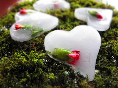 San Valentino_ Cuori di ghiaccio 2