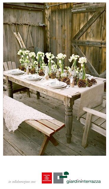 nuova collaborazione con Giardininterrazza di Roma