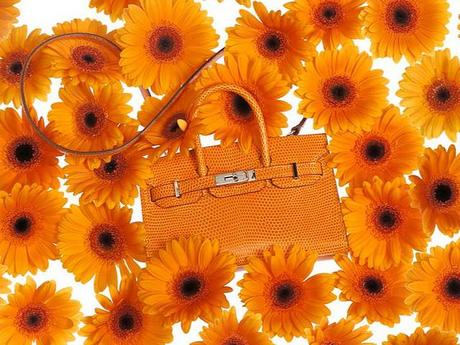 mini-kelly-birkin-hermes-primavera-2012-07