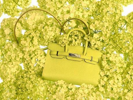 mini-kelly-birkin-hermes-primavera-2012-03